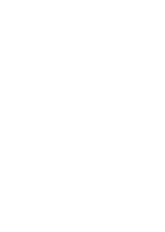 NINEBARNYARDOWLS