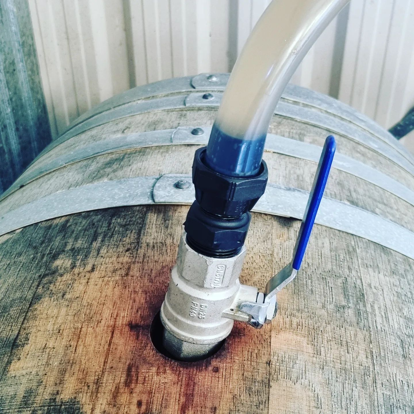 Oak barrels where coolship beer matures