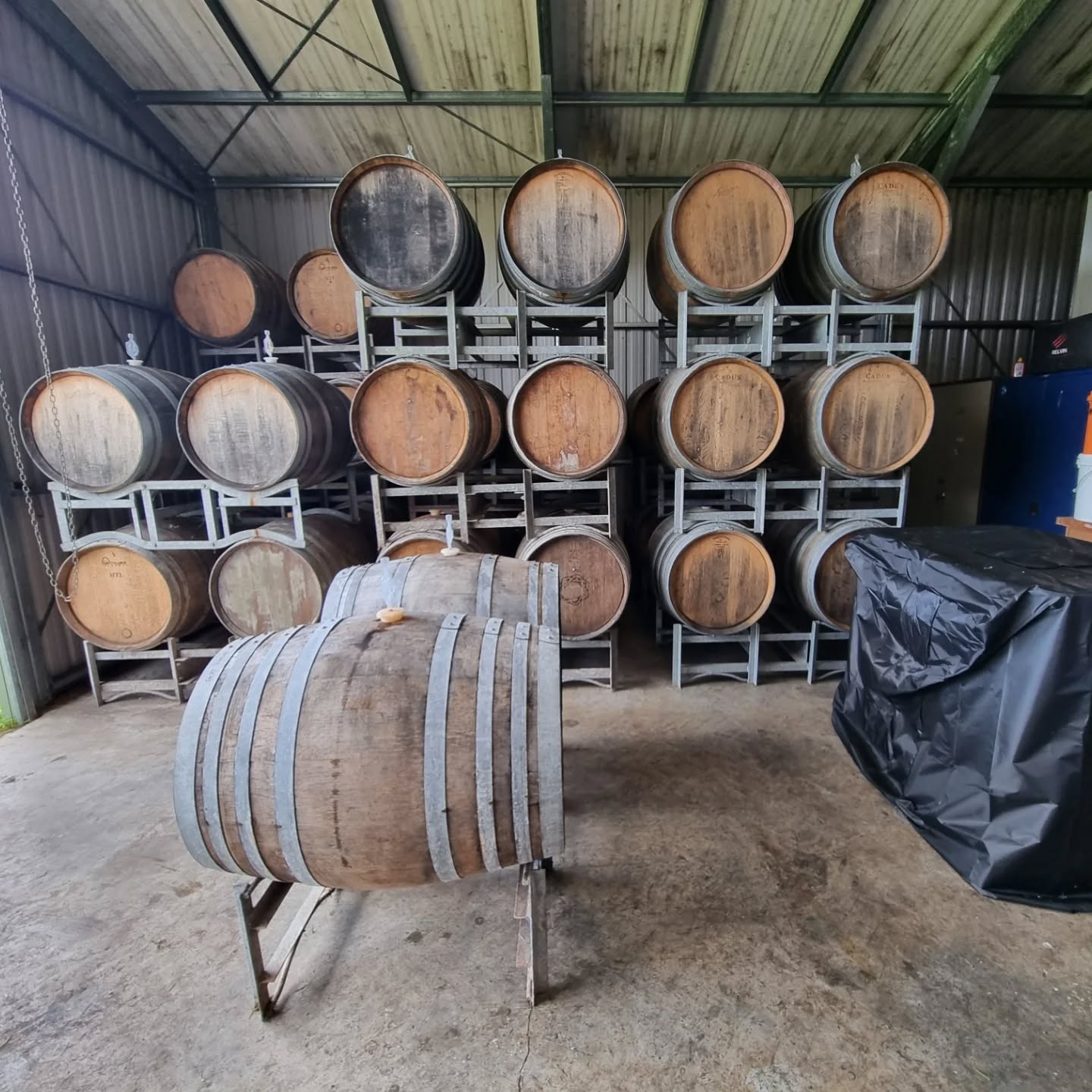 Our barrel room with aging coolship beer